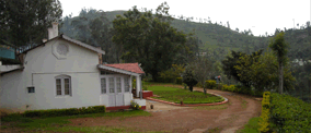 Resorts in Ooty